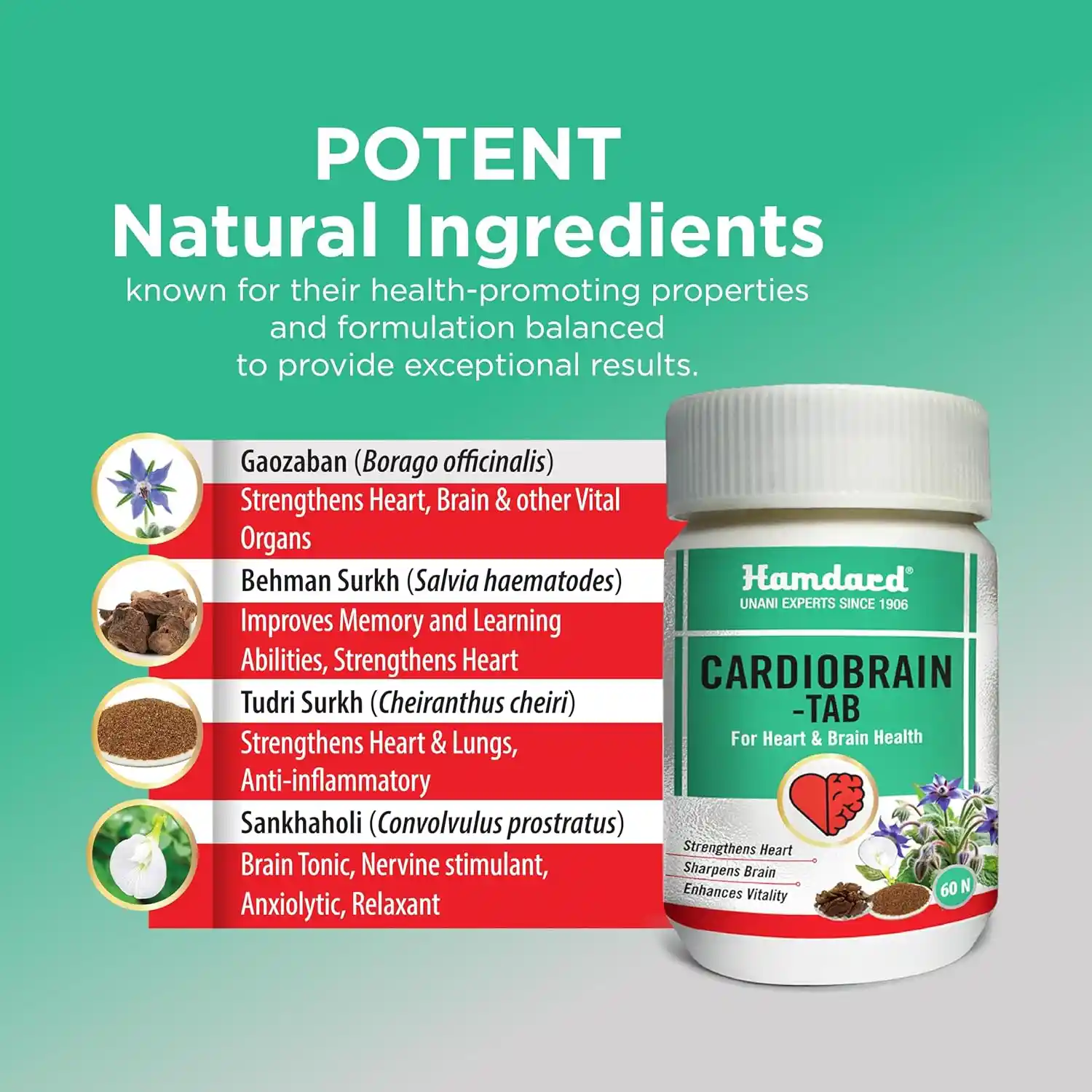 Hamdard Cardiobrain Tablets (60Tabs) - Image 4